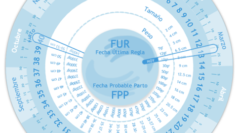 Calculadora de tu embarazo