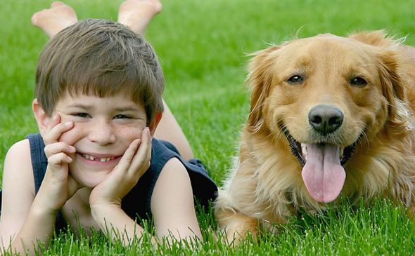 Mascotas para niños: los perros