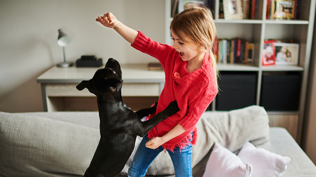 6 maneras de asegurarse de que su perro se lleva bien con sus hijos