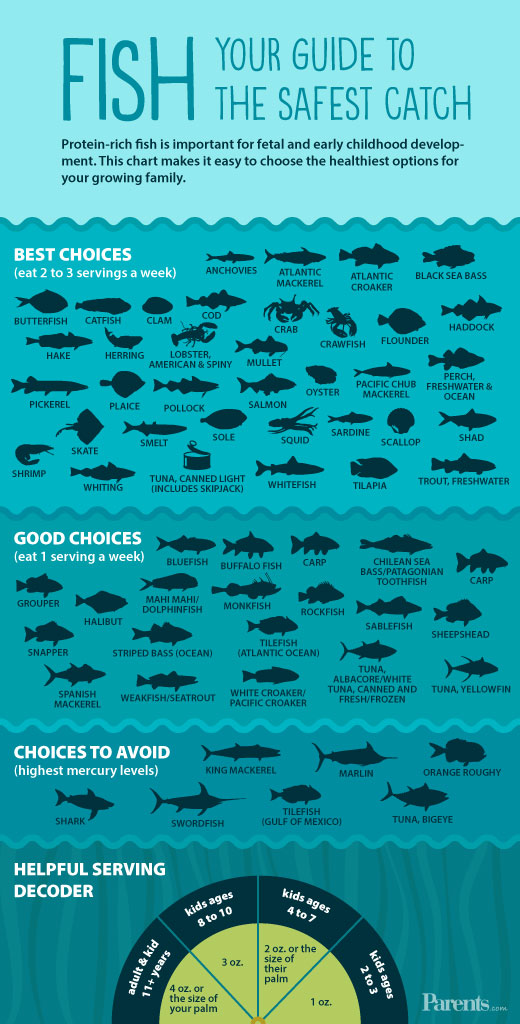 Las nuevas directrices facilitan la elección de un pescado seguro para su familia