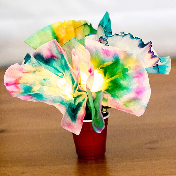 science experiments for kids chromatography flowers