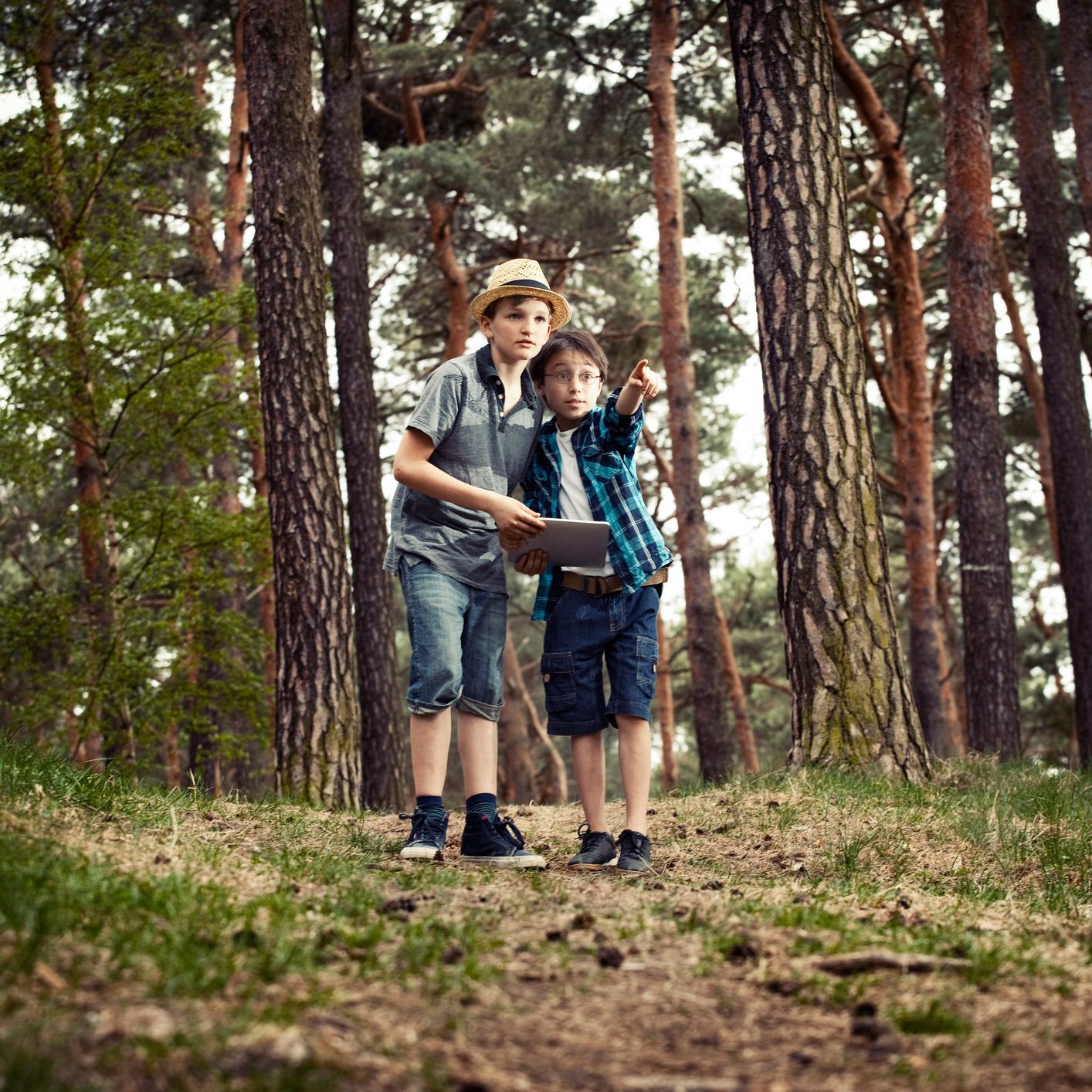 Las 30 mejores actividades de acampada para familias al aire libre