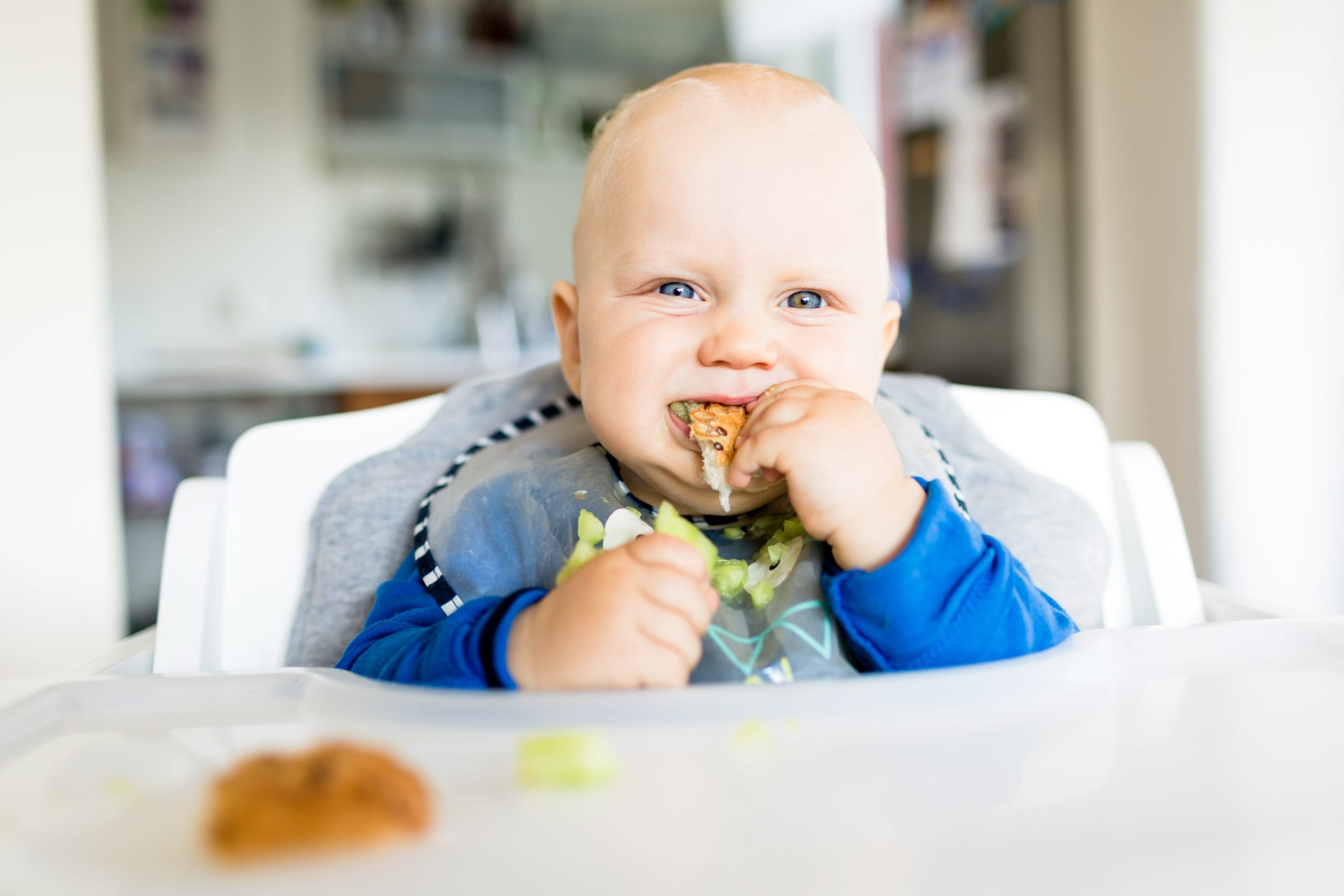 ¿Qué es el Baby Led Weaning? [Consejos que debes conocer]