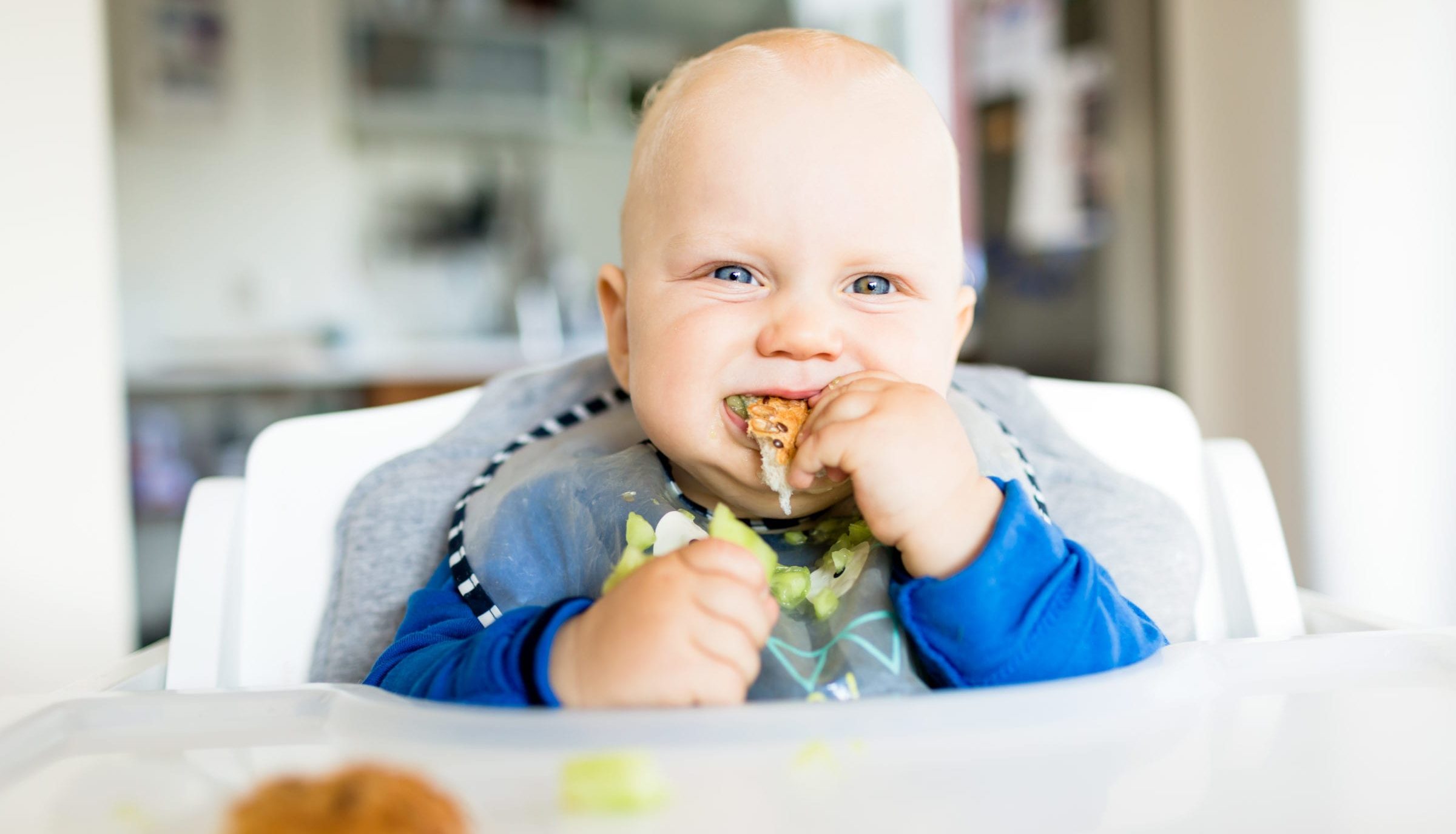 ¿Qué es el Baby Led Weaning?