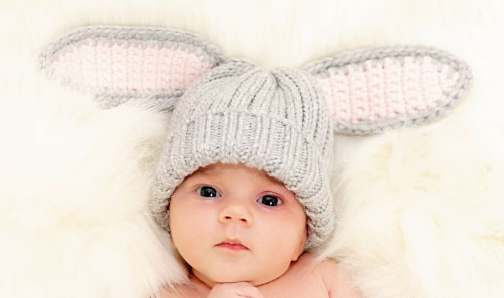 2023 Año del Bebé Conejo: ¡Un futuro brillante y alegre!