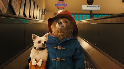 Paddington Bear rides up a tube escalator with a suitcase and dog in a scene from Paddington. The movie is a Good Housekeeping pick for best kids movies on Netflix paddington bear rides up a tube escalator with a suitcase and dog in a scene from paddington the movie is a good housekeeping pick for best kids movies on netflix