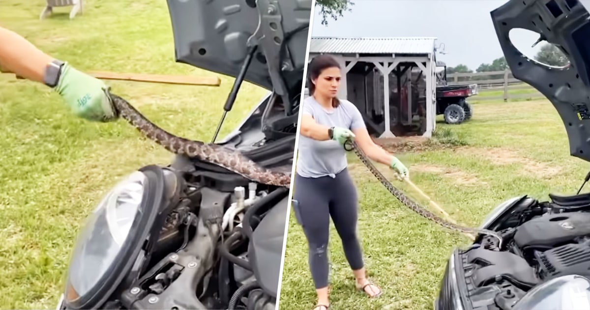 Una madre de Texas convence a una serpiente para que salga del motor del coche de su hija.