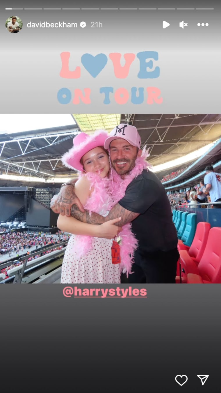 David Beckham y su hija Harper con boas rosas en el concierto de Harry Styles