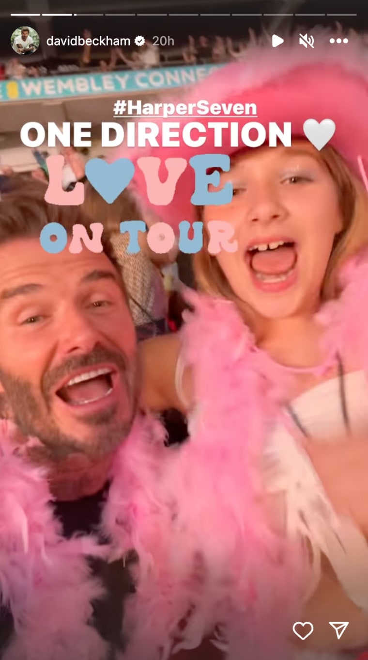David Beckham y su hija Harper con boas rosas en el concierto de Harry Styles
