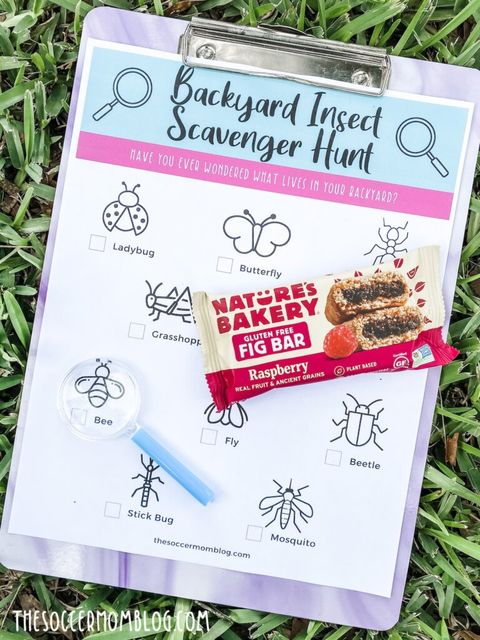 backyard insect scavenger hunt for kids