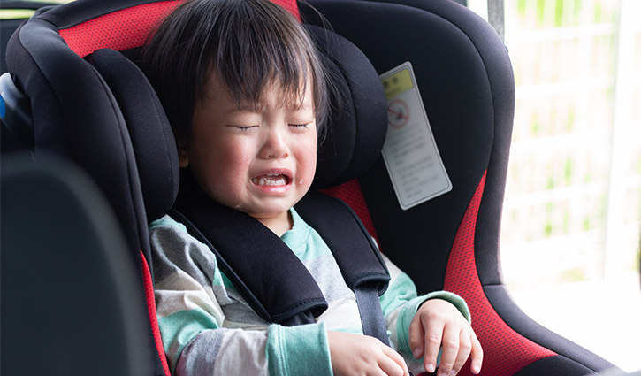 ¿Se niega a subir al coche o al carrito? Prueba estos consejos