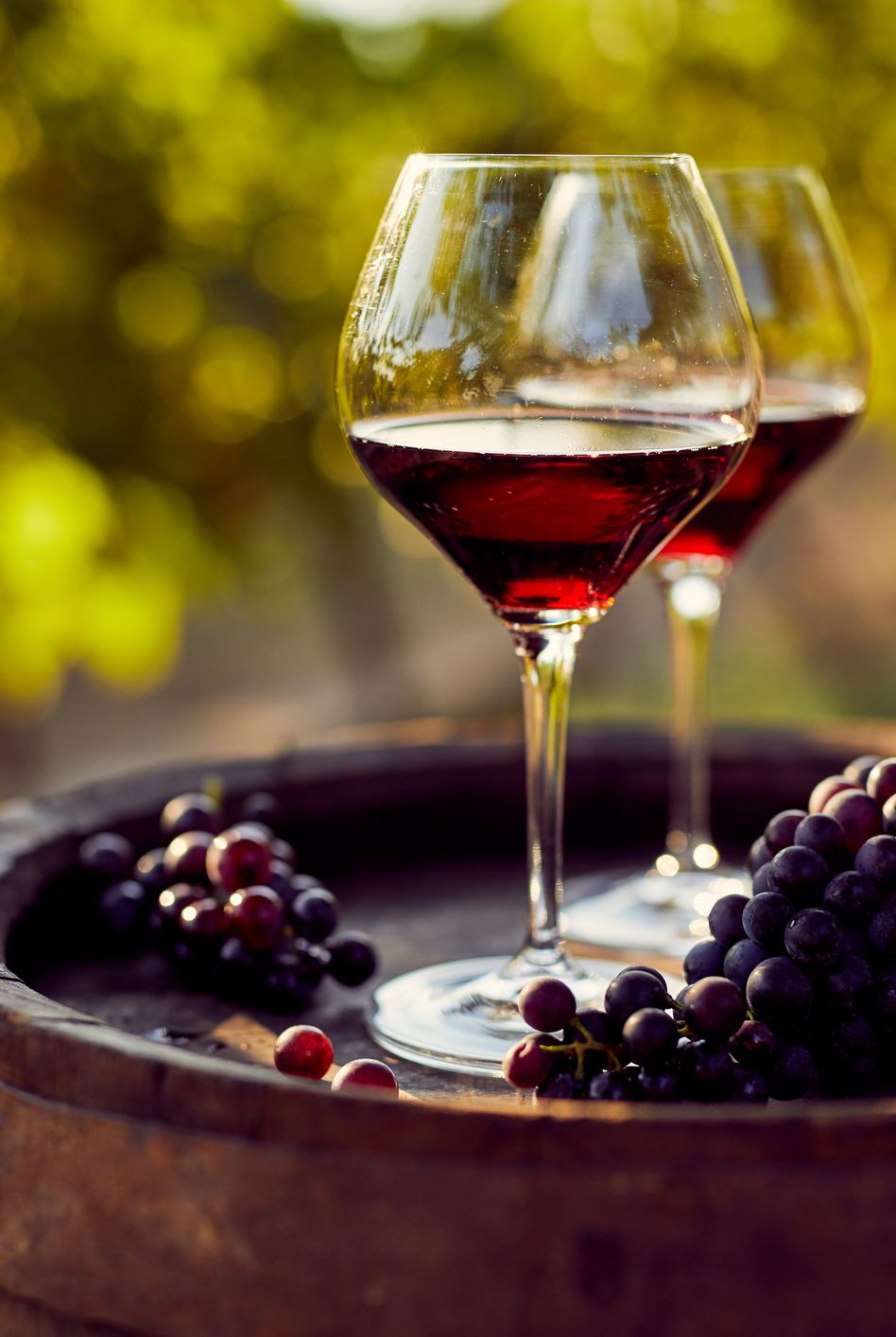 fall activities winery