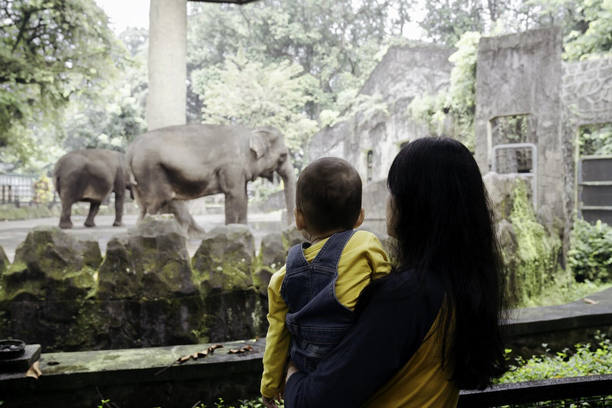 ¿Cuál es el estilo de crianza de la mamá elefante?