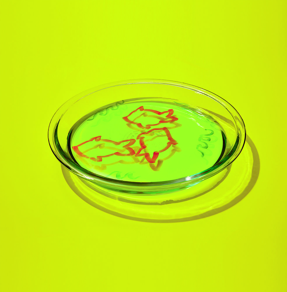 El experimento del 'Ciclo del Agua con Crema de Afeitar' es un fácil proyecto de ciencia que puedes hacer con niños en casa